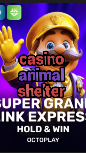 casino animal shelter-w4cy2mdjlx2bf.com