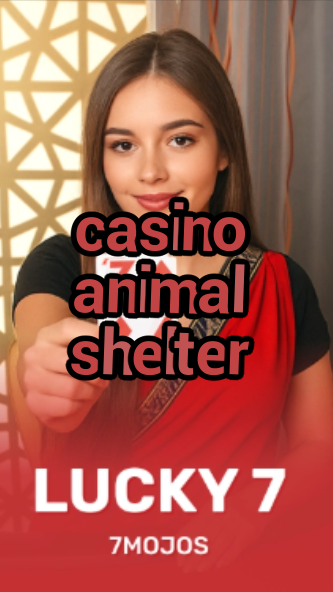 casino animal shelter-w4cy2mdjlx2bf.com